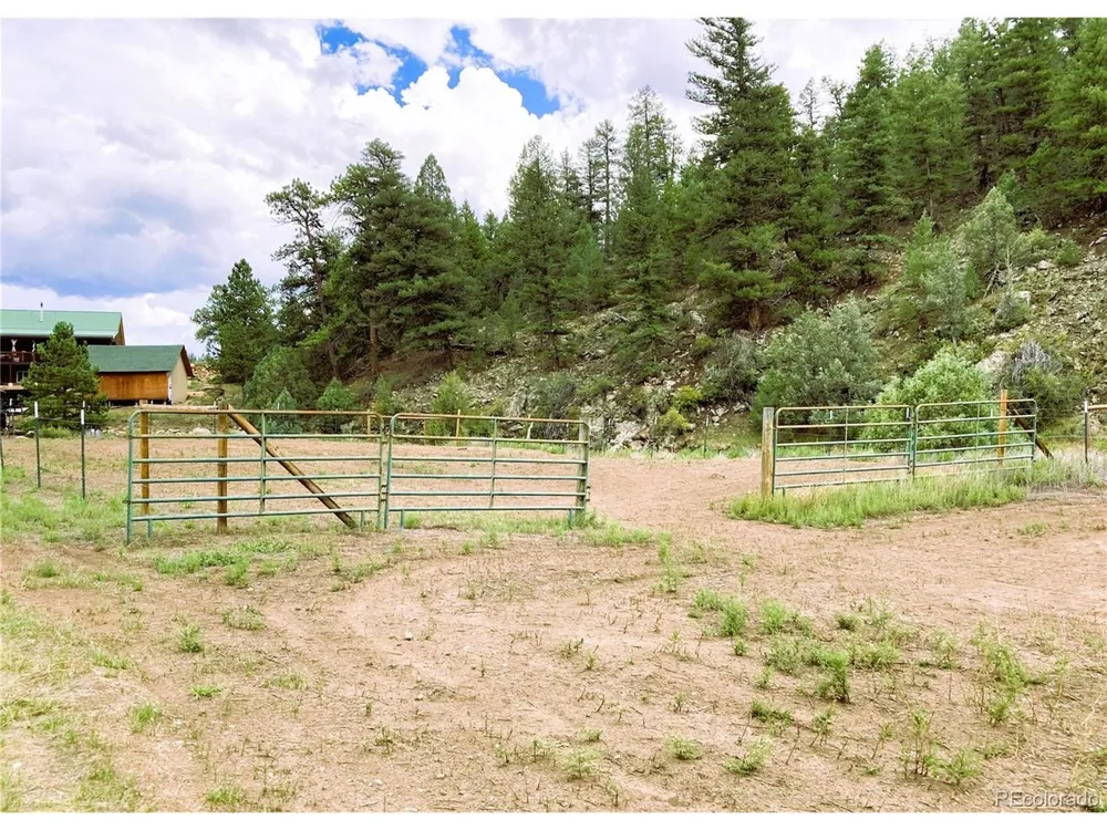 1420 Coyote Run Cotopaxi, CO 81223