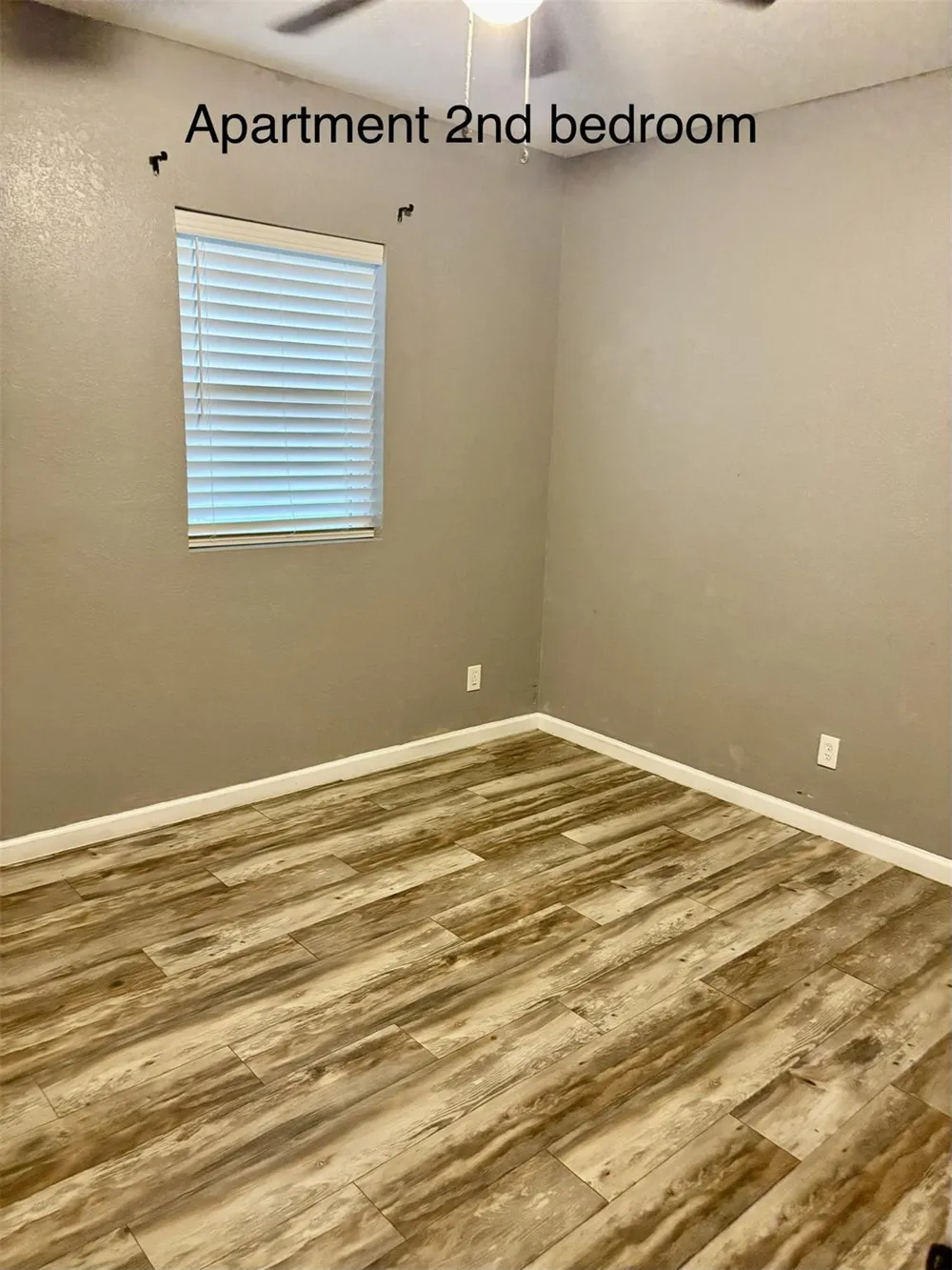 11018 Stallion Drive Needville, TX 77461