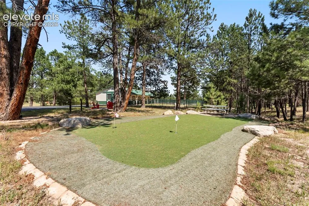 12155 SPINE CREEK PLACE Colorado Springs, CO 80908