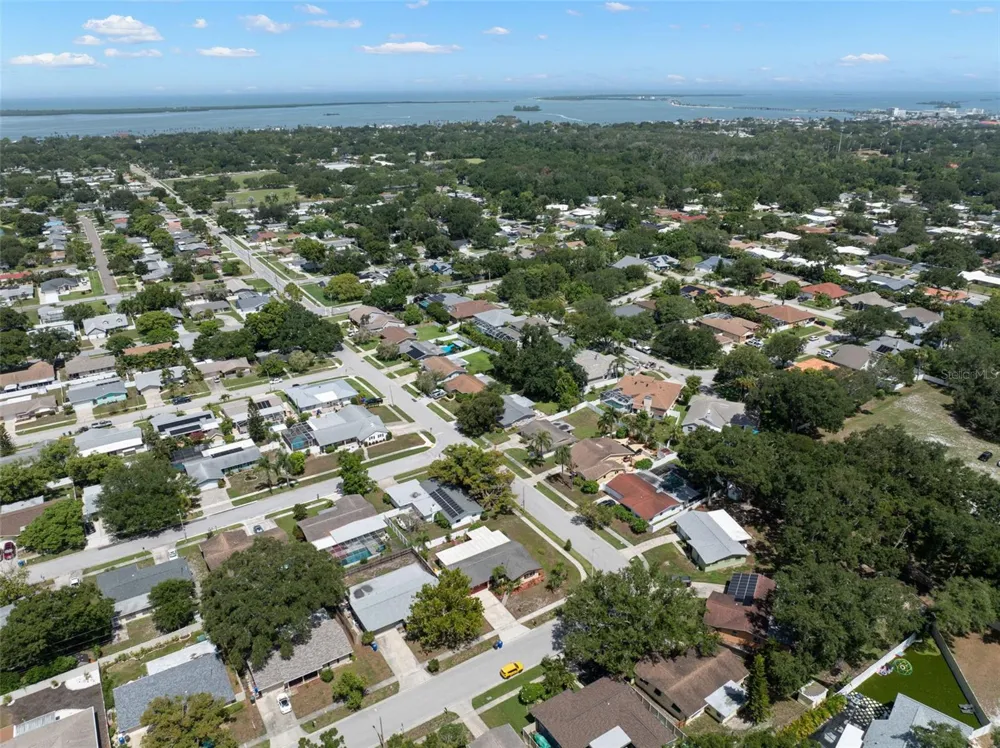 1564 SANTA MONICA DRIVE Dunedin, FL 34698