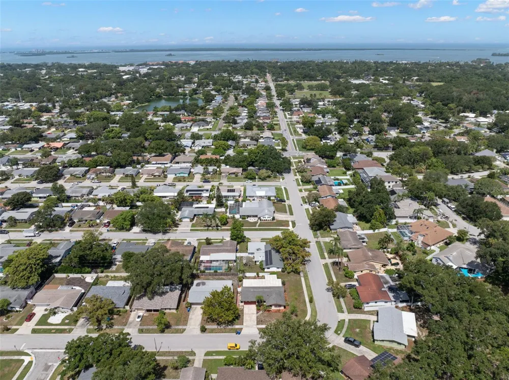 1564 SANTA MONICA DRIVE Dunedin, FL 34698
