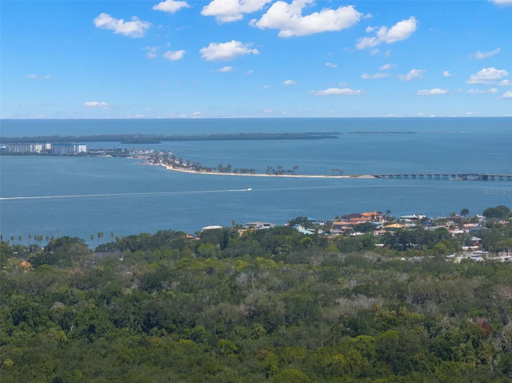 1564 SANTA MONICA DRIVE Dunedin, FL 34698