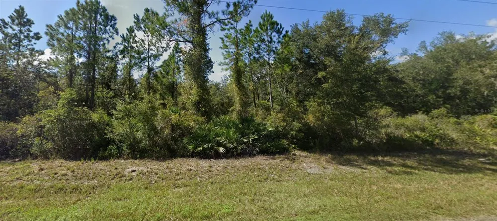 0 NE 64TH AVENUE Citra, FL 32113