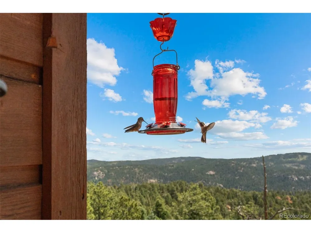 13432 Riley Peak Road Conifer, CO 80433