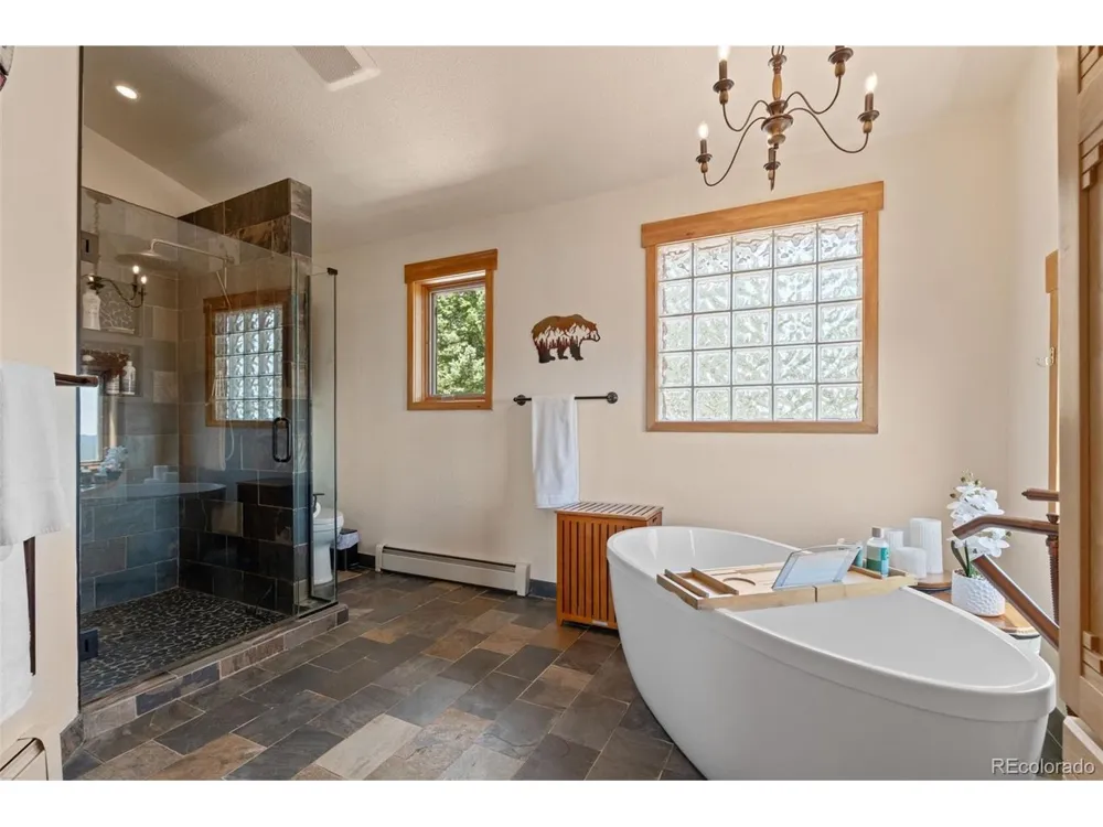 13432 Riley Peak Road Conifer, CO 80433