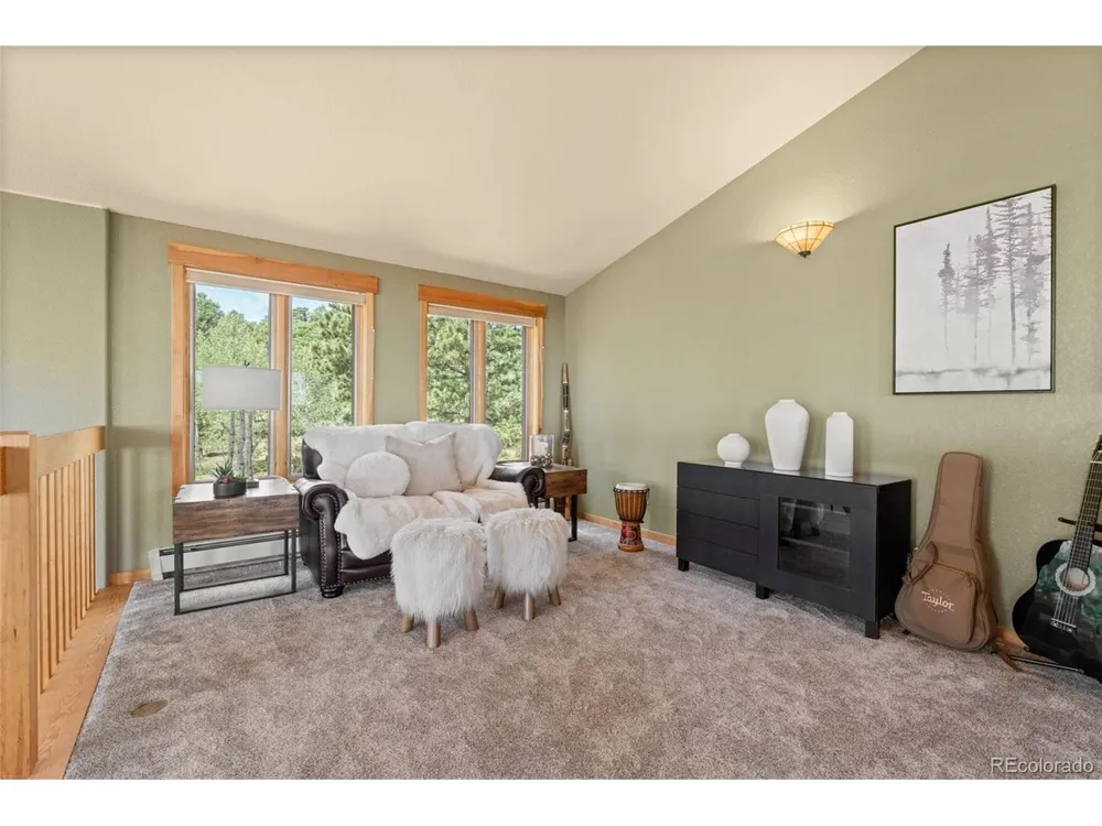 13432 Riley Peak Road Conifer, CO 80433
