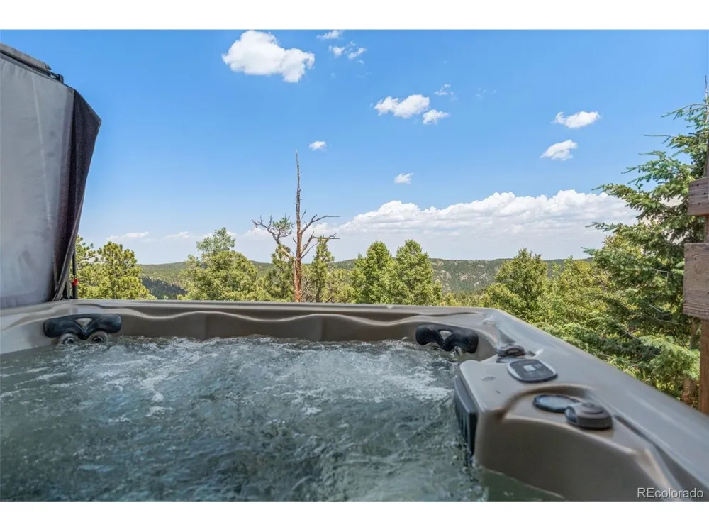13432 Riley Peak Road Conifer, CO 80433