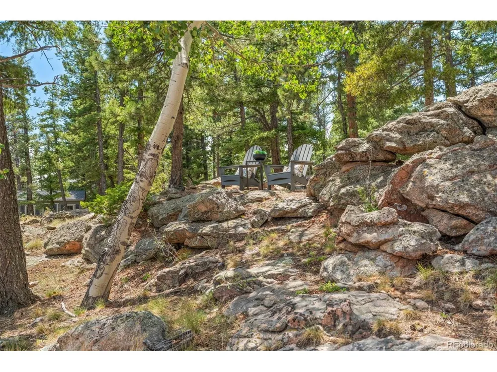 13432 Riley Peak Road Conifer, CO 80433
