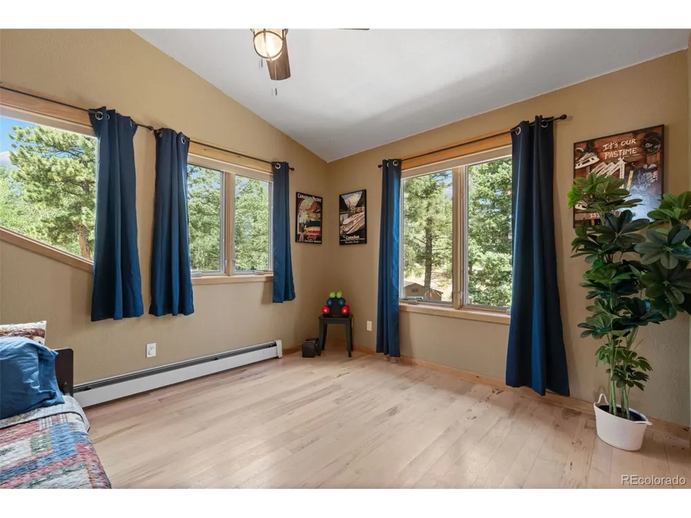 13432 Riley Peak Road Conifer, CO 80433