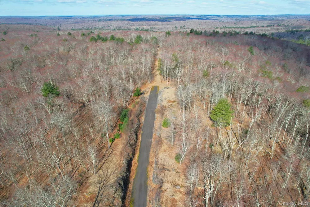 TBD Hilltop Road Monticello, NY 12701