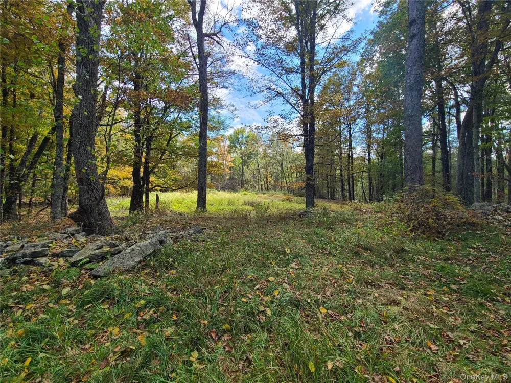 TBD Hilltop Road Monticello, NY 12701
