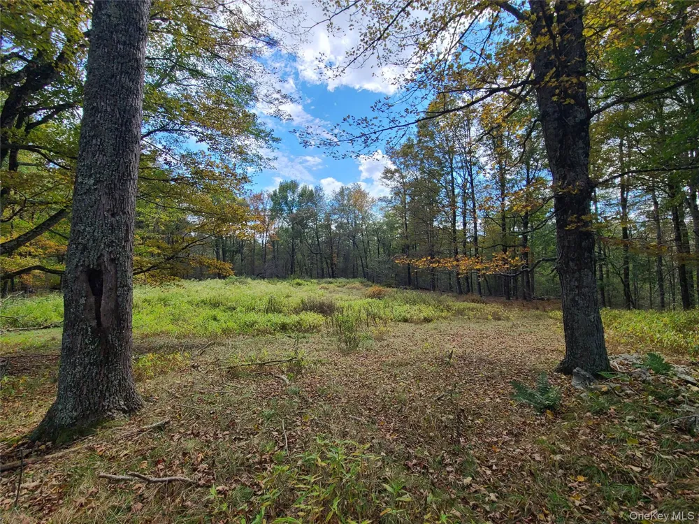 TBD Hilltop Road Monticello, NY 12701