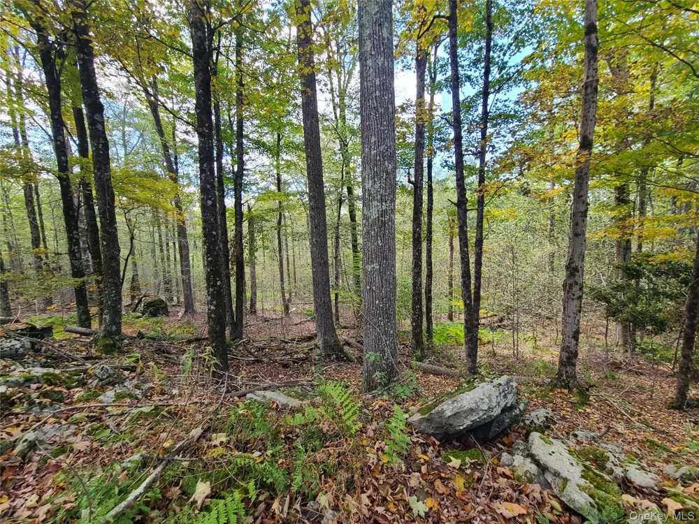 TBD Hilltop Road Monticello, NY 12701
