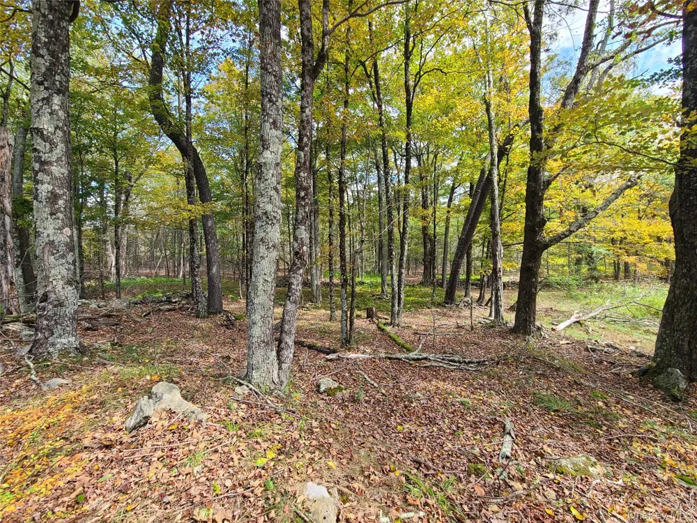 TBD Hilltop Road Monticello, NY 12701