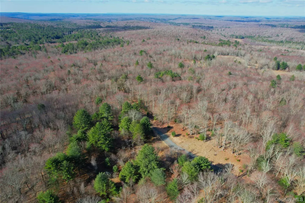 TBD Hilltop Road Monticello, NY 12701