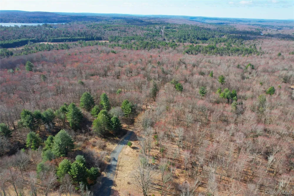 TBD Hilltop Road Monticello, NY 12701