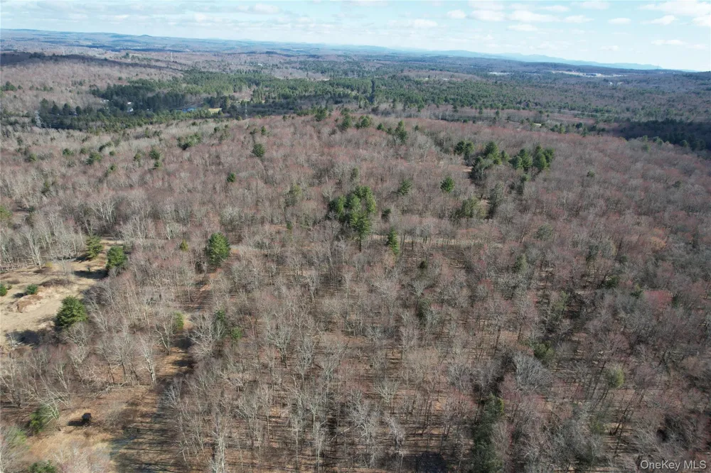 TBD Hilltop Road Monticello, NY 12701