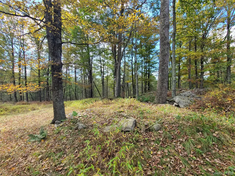 118 Hilltop Road Monticello, NY 12701