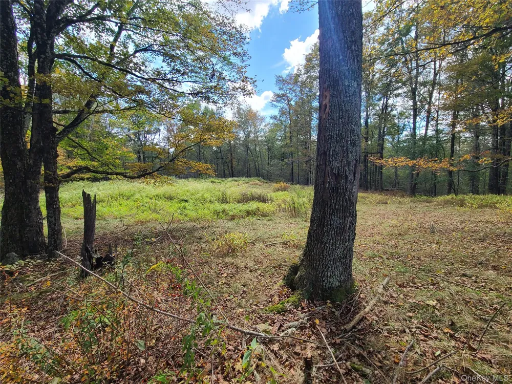 118 Hilltop Road Monticello, NY 12701