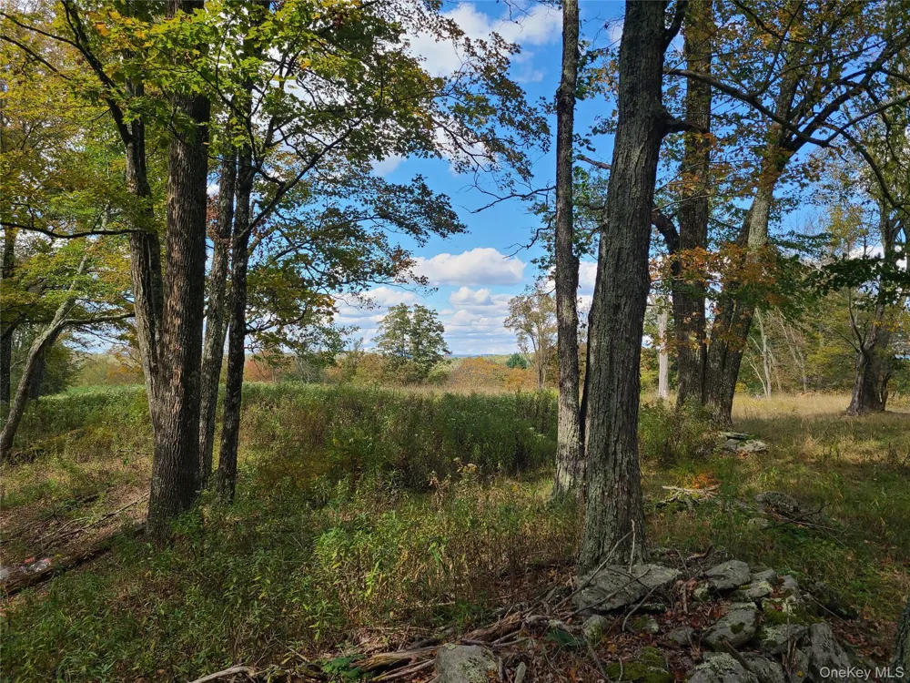 118 Hilltop Road Monticello, NY 12701