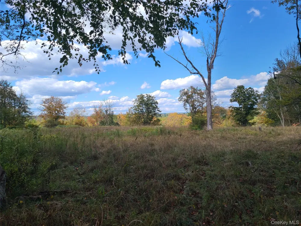 118 Hilltop Road Monticello, NY 12701