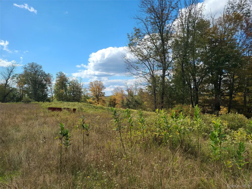 118 Hilltop Road Monticello, NY 12701