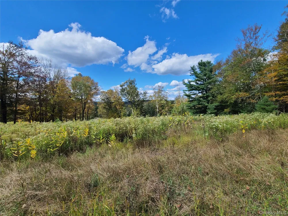 118 Hilltop Road Monticello, NY 12701
