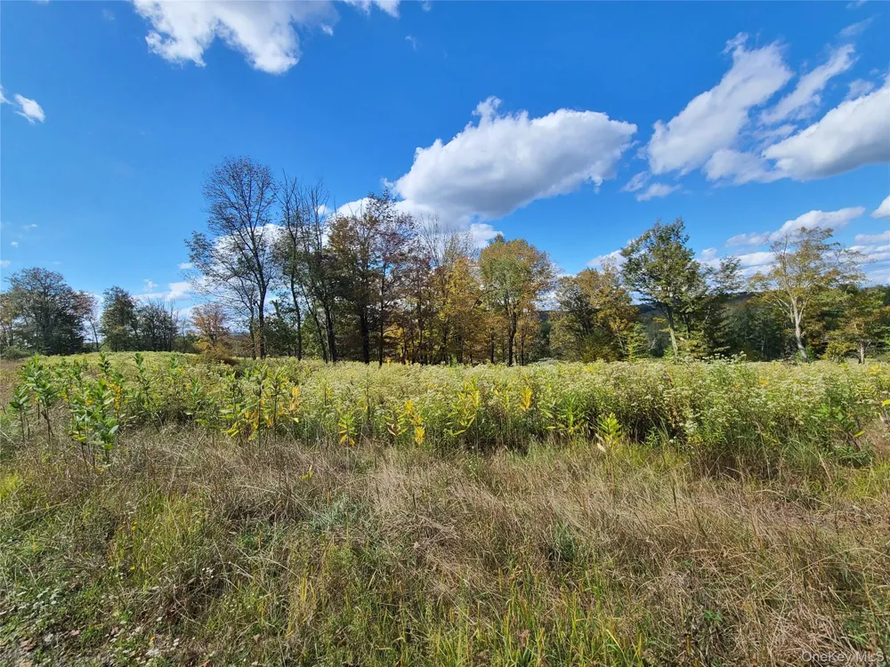 118 Hilltop Road Monticello, NY 12701