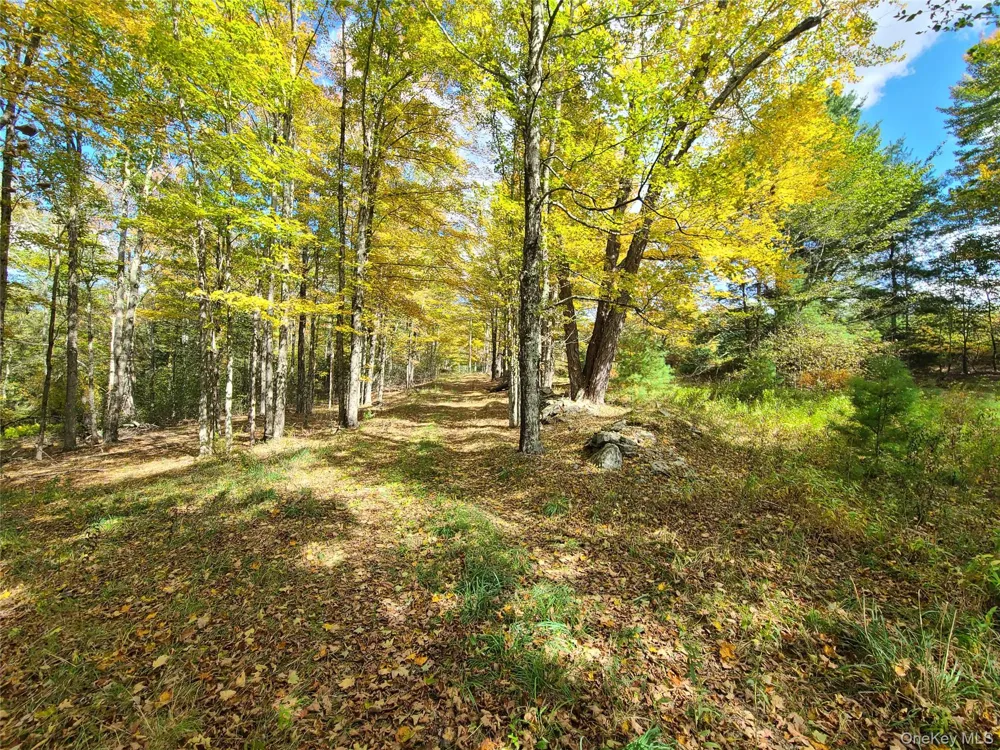 118 Hilltop Road Monticello, NY 12701