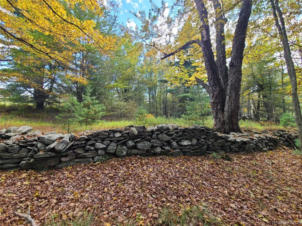 118 Hilltop Road Monticello, NY 12701
