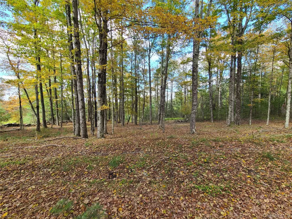 118 Hilltop Road Monticello, NY 12701