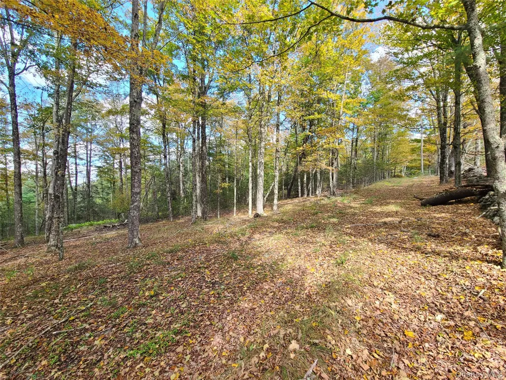 118 Hilltop Road Monticello, NY 12701