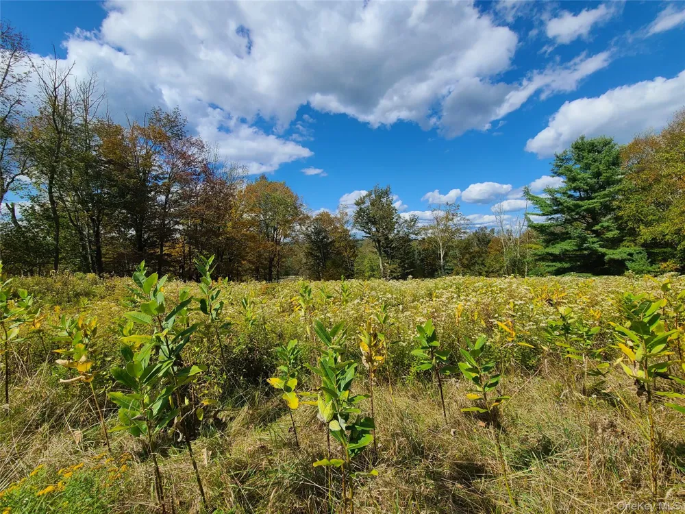 118 Hilltop Road Monticello, NY 12701