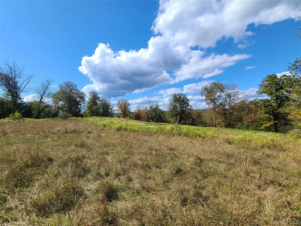 118 Hilltop Road Monticello, NY 12701