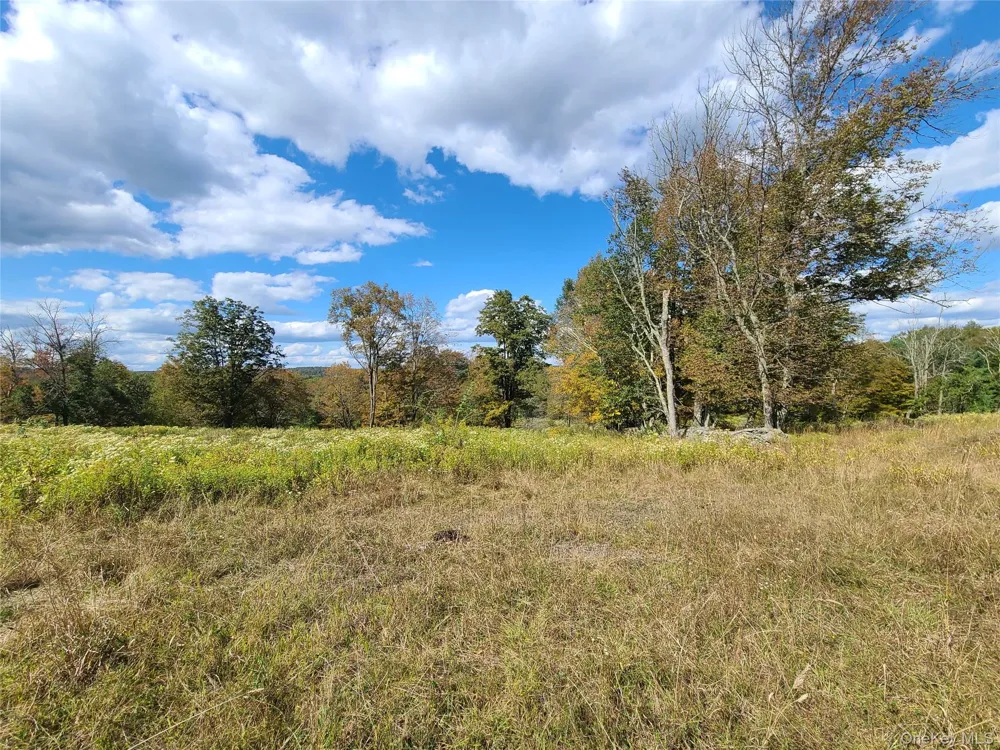 118 Hilltop Road Monticello, NY 12701