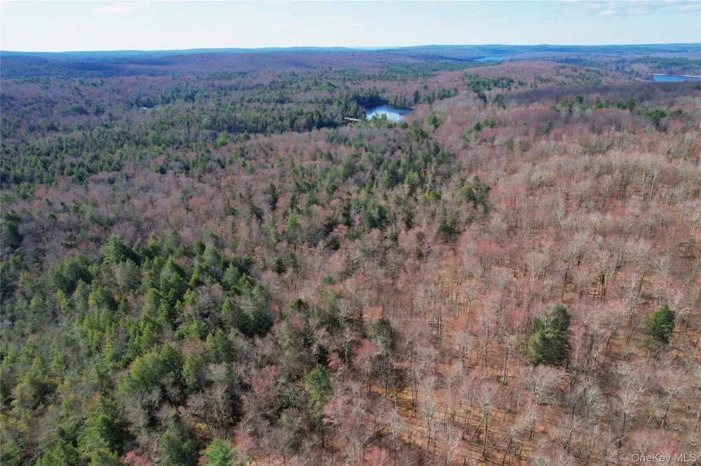 118 Hilltop Road Monticello, NY 12701