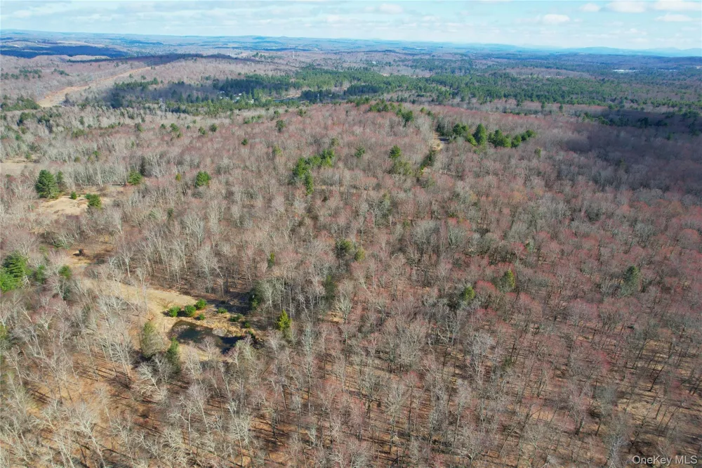 118 Hilltop Road Monticello, NY 12701