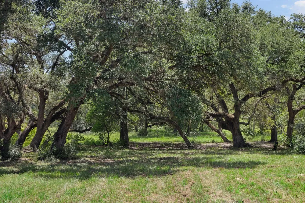 1080 Muddy Creek Road Columbus, TX 78934
