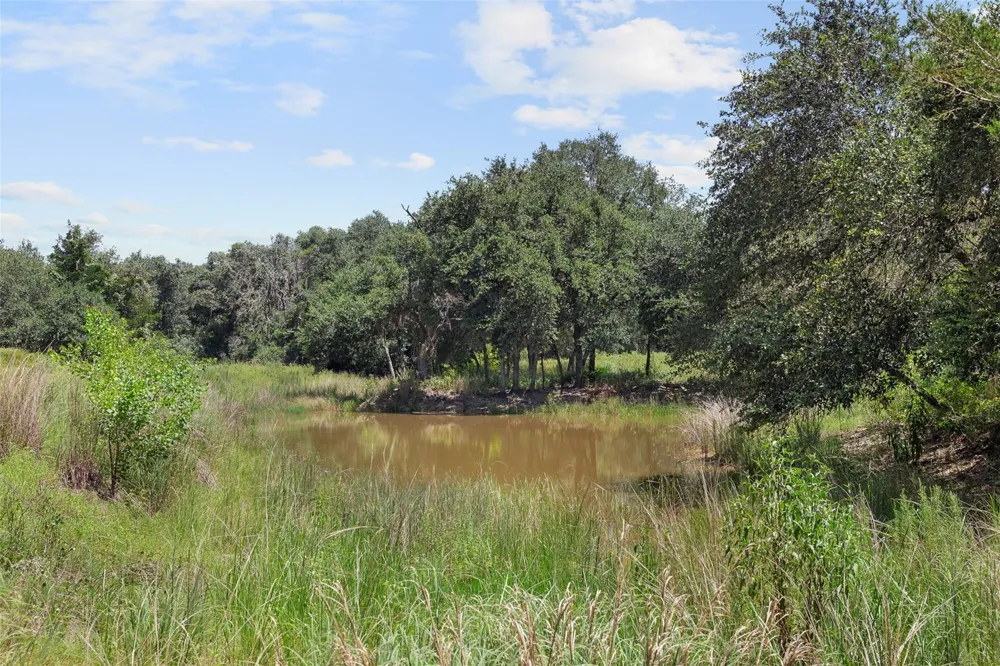 1080 Muddy Creek Road Columbus, TX 78934