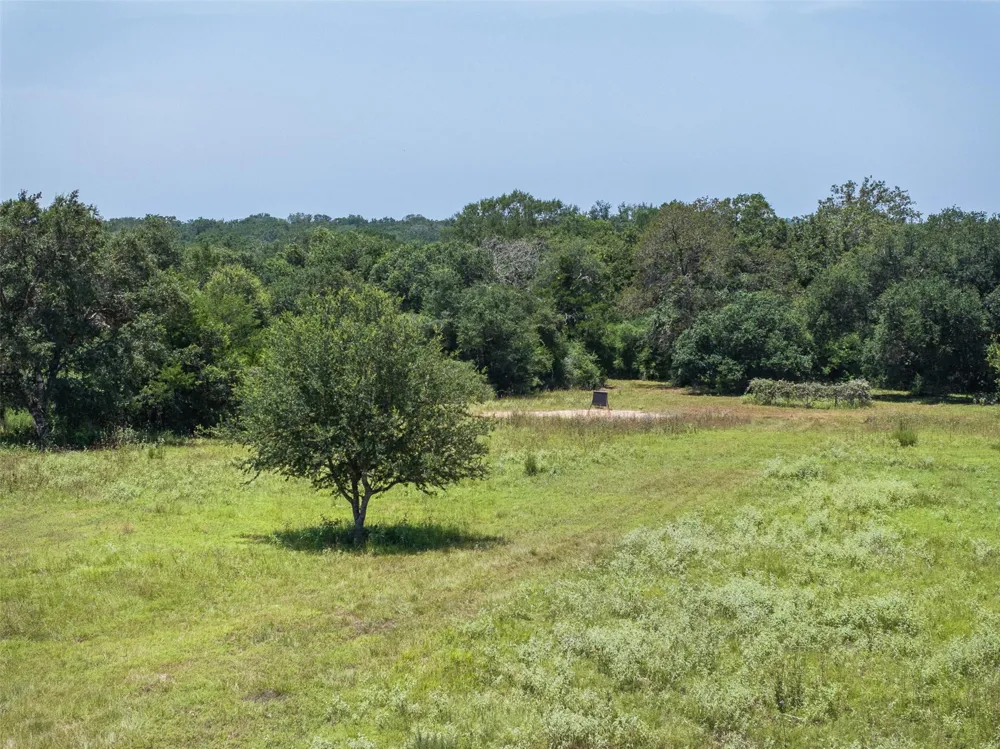 1080 Muddy Creek Road Columbus, TX 78934
