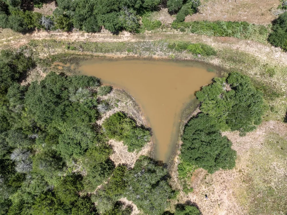 1080 Muddy Creek Road Columbus, TX 78934