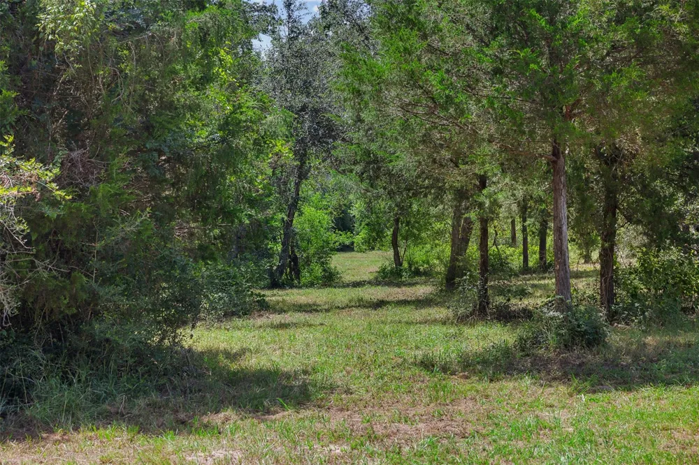 1080 Muddy Creek Road Columbus, TX 78934