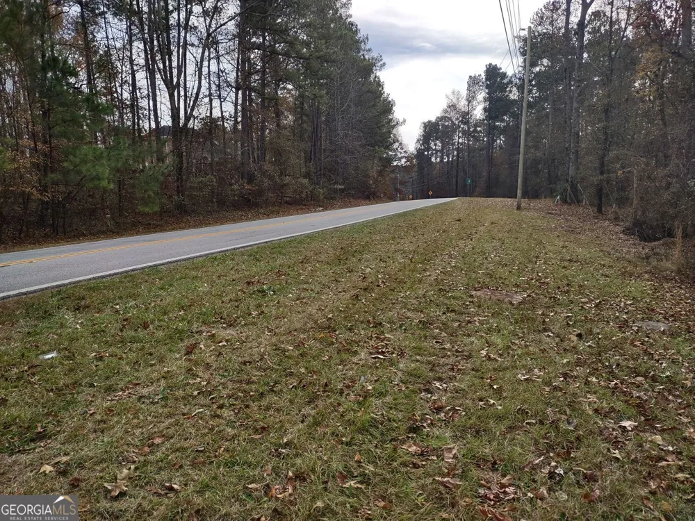 12371 Panhandle RD Hampton, GA 30228