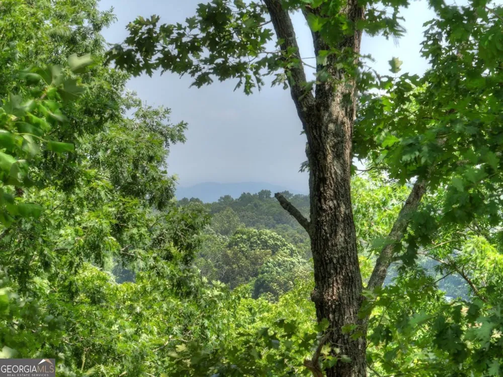 558 Tipton Springs RD Morganton, GA 30560