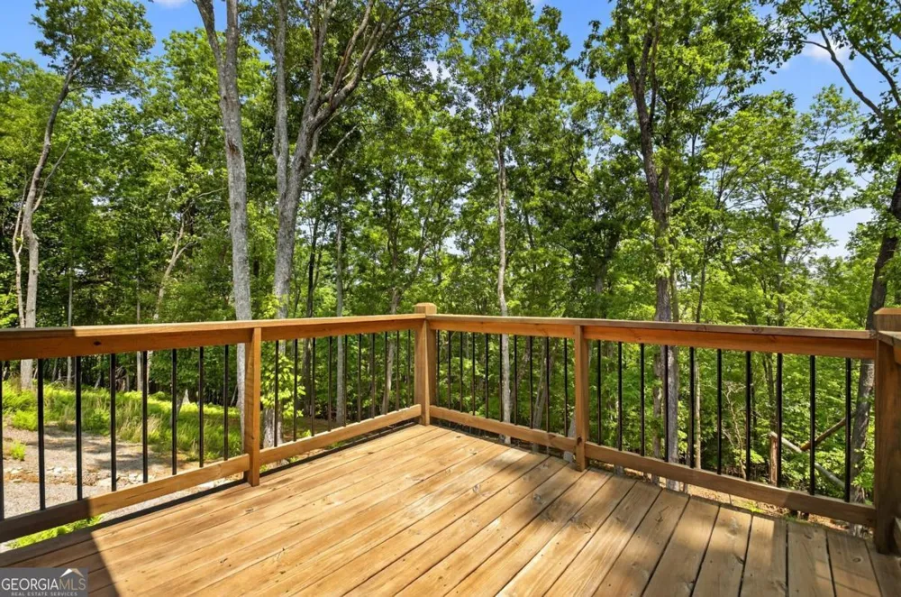 558 Tipton Springs RD Morganton, GA 30560