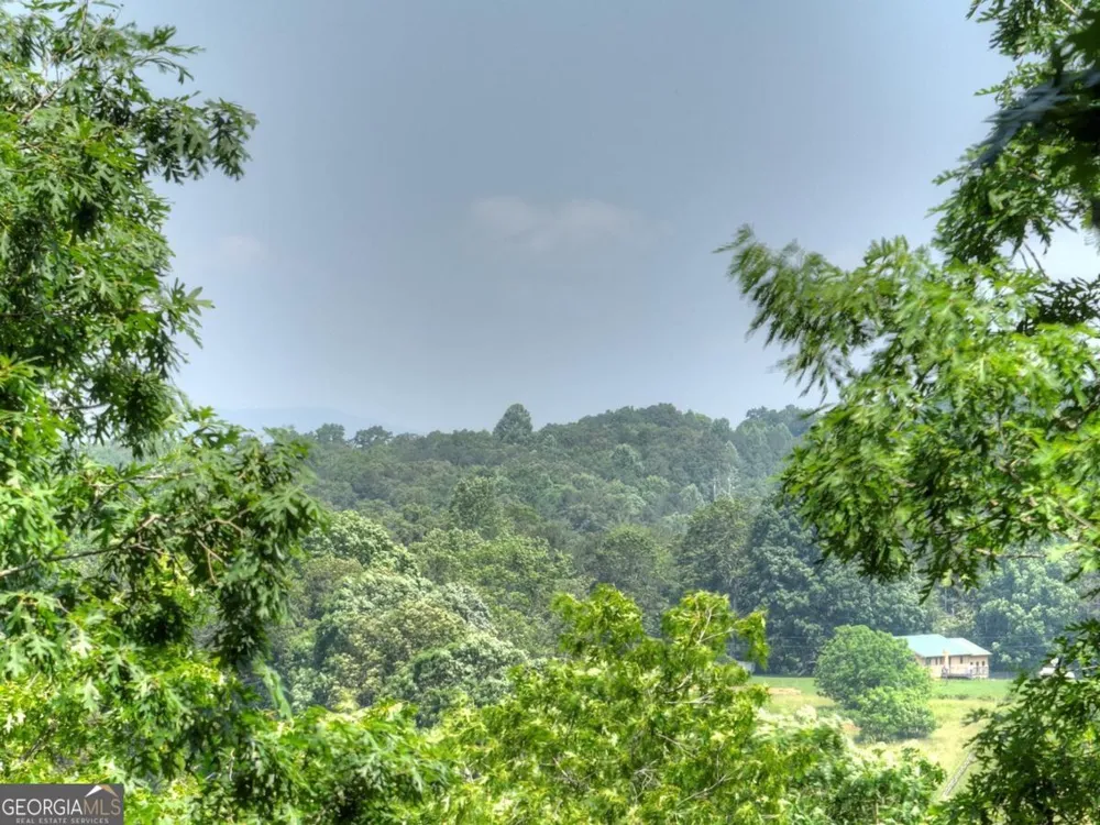 558 Tipton Springs RD Morganton, GA 30560