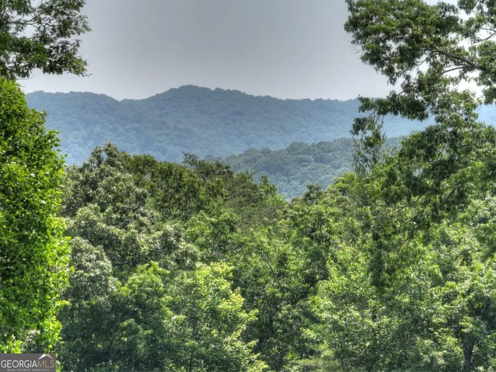 558 Tipton Springs RD Morganton, GA 30560