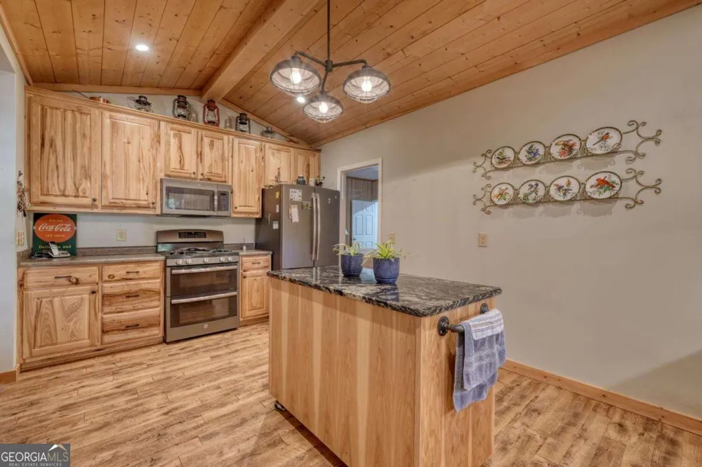 3966 Hickory Nut DR Hiawassee, GA 30546