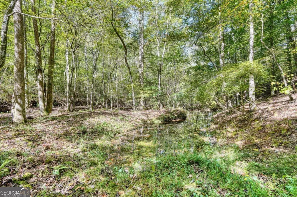 3966 Hickory Nut DR Hiawassee, GA 30546