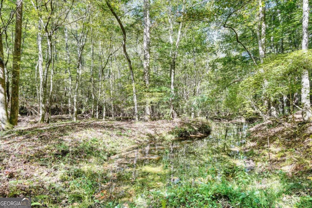 3966 Hickory Nut DR Hiawassee, GA 30546